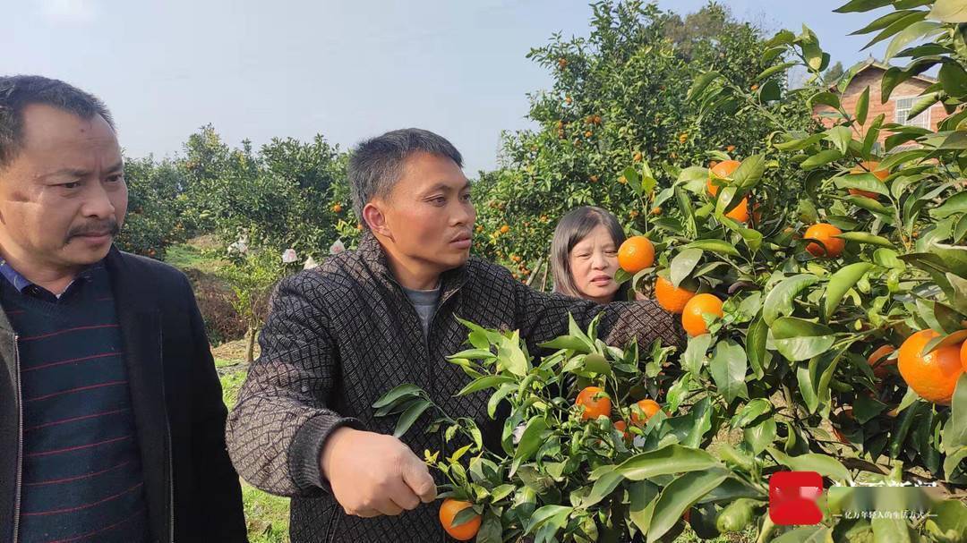 山西省晋城市高都镇推动乡村e镇建设，带动村民致富增收 古朴山乡做强“特色电商”