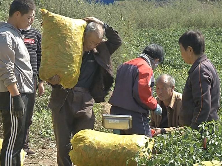 山西省晋城市高都镇推动乡村e镇建设，带动村民致富增收 古朴山乡做强“特色电商”