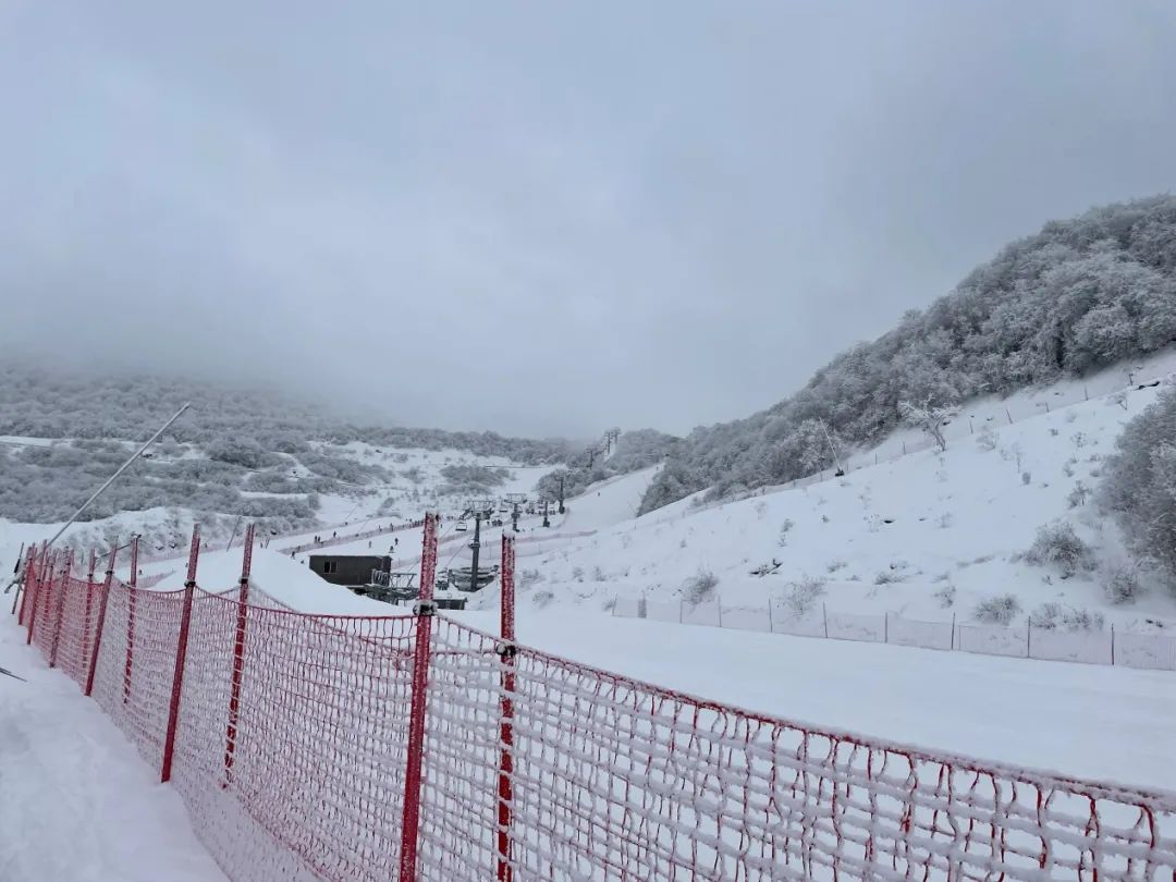 “冰雪热”之后，这座城市打出“文脉牌”