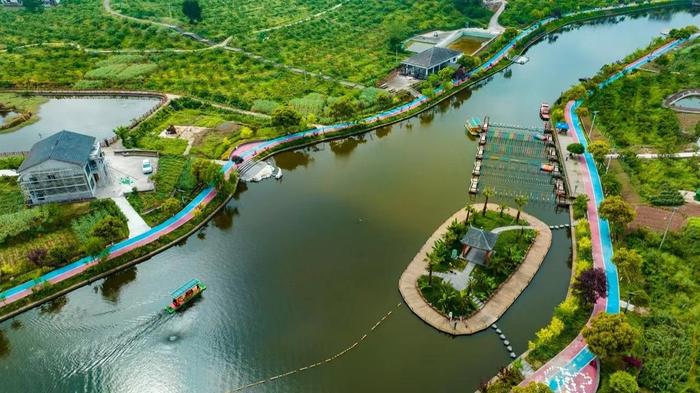 重庆万州：打造绿色生态长廊 筑牢三峡库区生态屏障