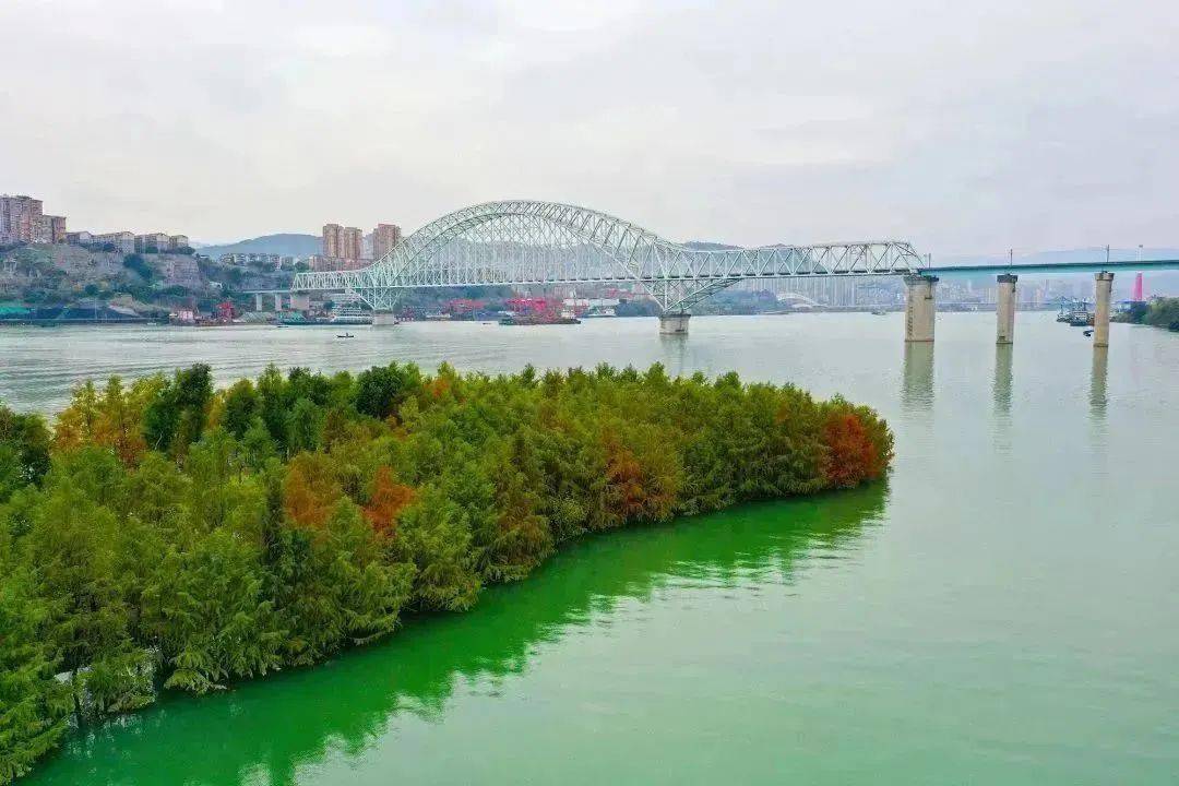 重庆万州：打造绿色生态长廊 筑牢三峡库区生态屏障