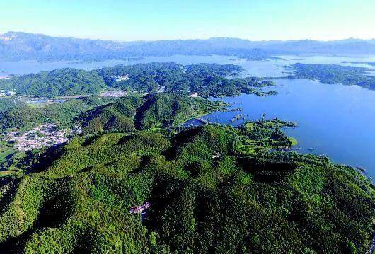 北京密云水库鸟岛迎来出生潮