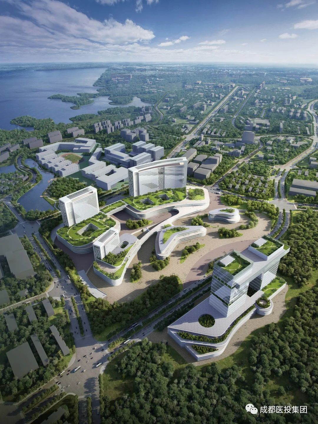 成都东部新区中西医结合医院2023年度第一次药事工作会顺利召开