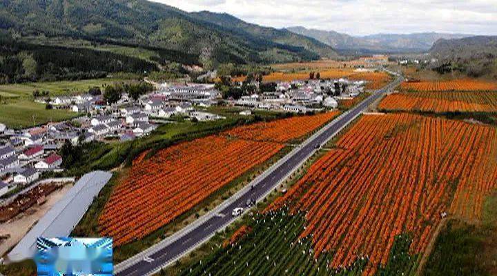 农旅融合强发展 特色产业促增收