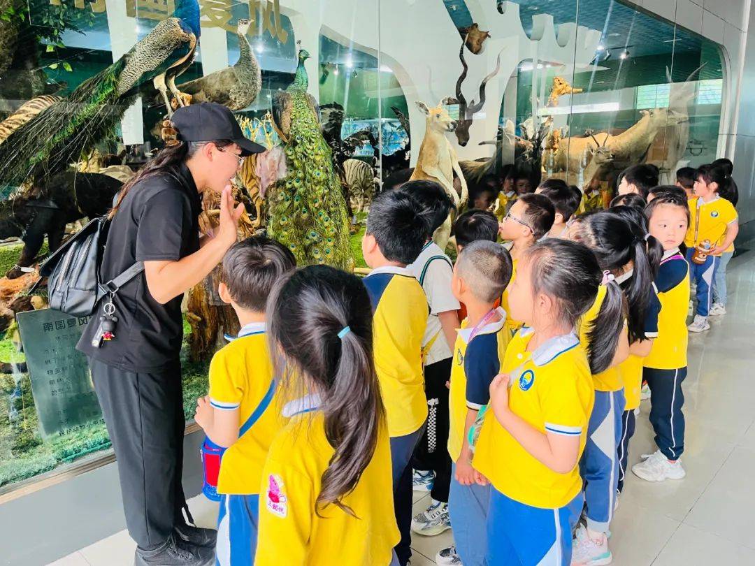 在研学中成长——一份特殊的儿童节礼物