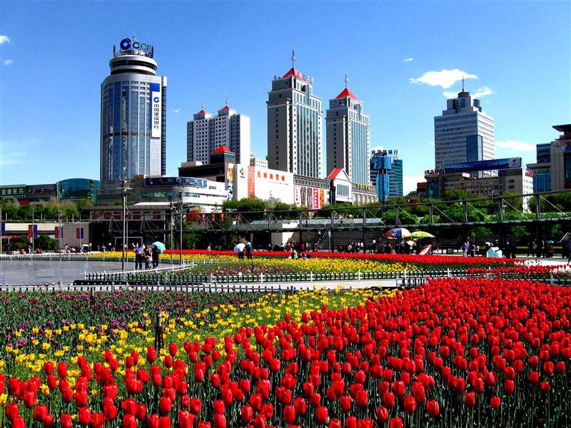 青海西宁： 高原古城绿意浓