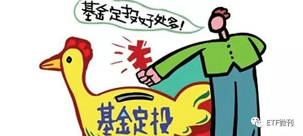 ETF基金日报丨畜牧养殖相关ETF涨幅居前，机构称猪周期拐点渐近，猪鸡有望共振向上