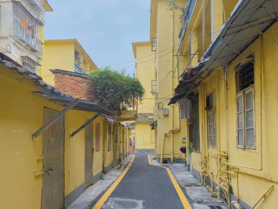 老街焕“新生” 旧房变“网红”