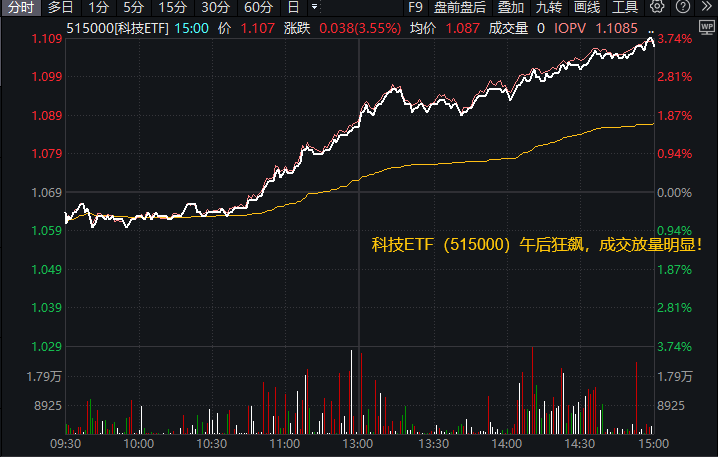 生猪供需基本面在逐步缓解，畜牧ETF(159867)冲击10连阳