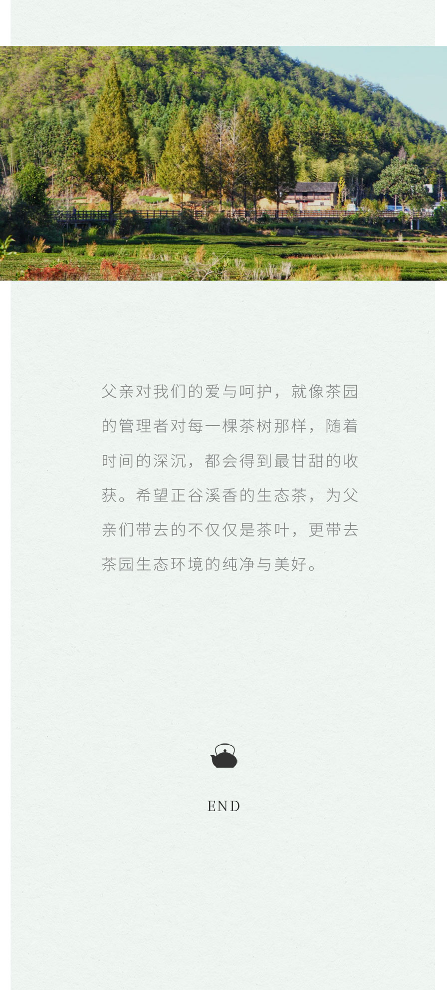 “茶香味”里的父爱