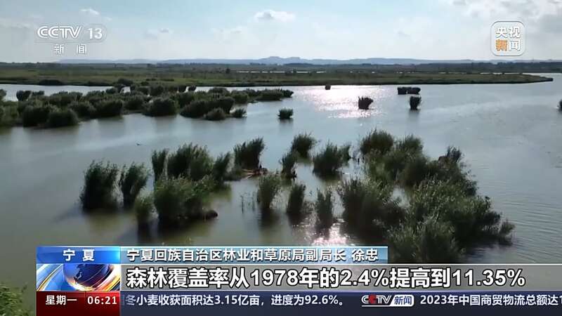 内蒙古黄河“几字弯”完成沙化土地治理512万亩