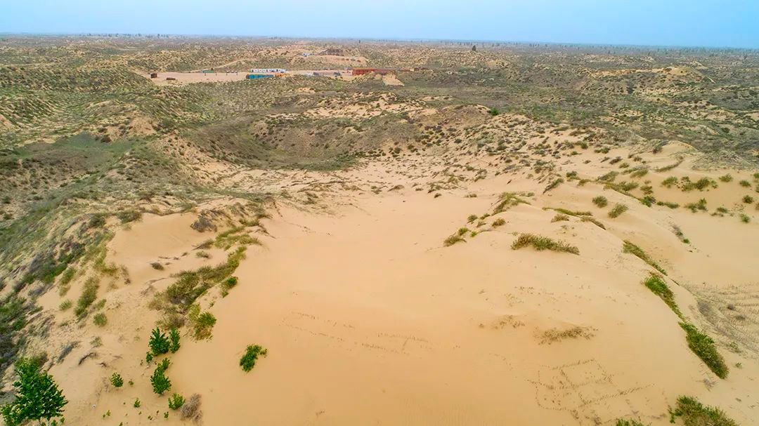 内蒙古黄河“几字弯”完成沙化土地治理512万亩