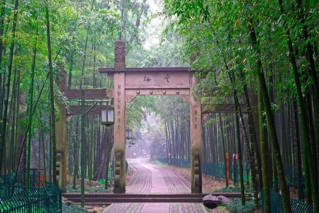 “杭州西湖日” 雨中游西湖