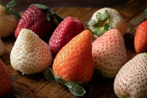 粤港澳三地共同开发“湾区认证”项目32项