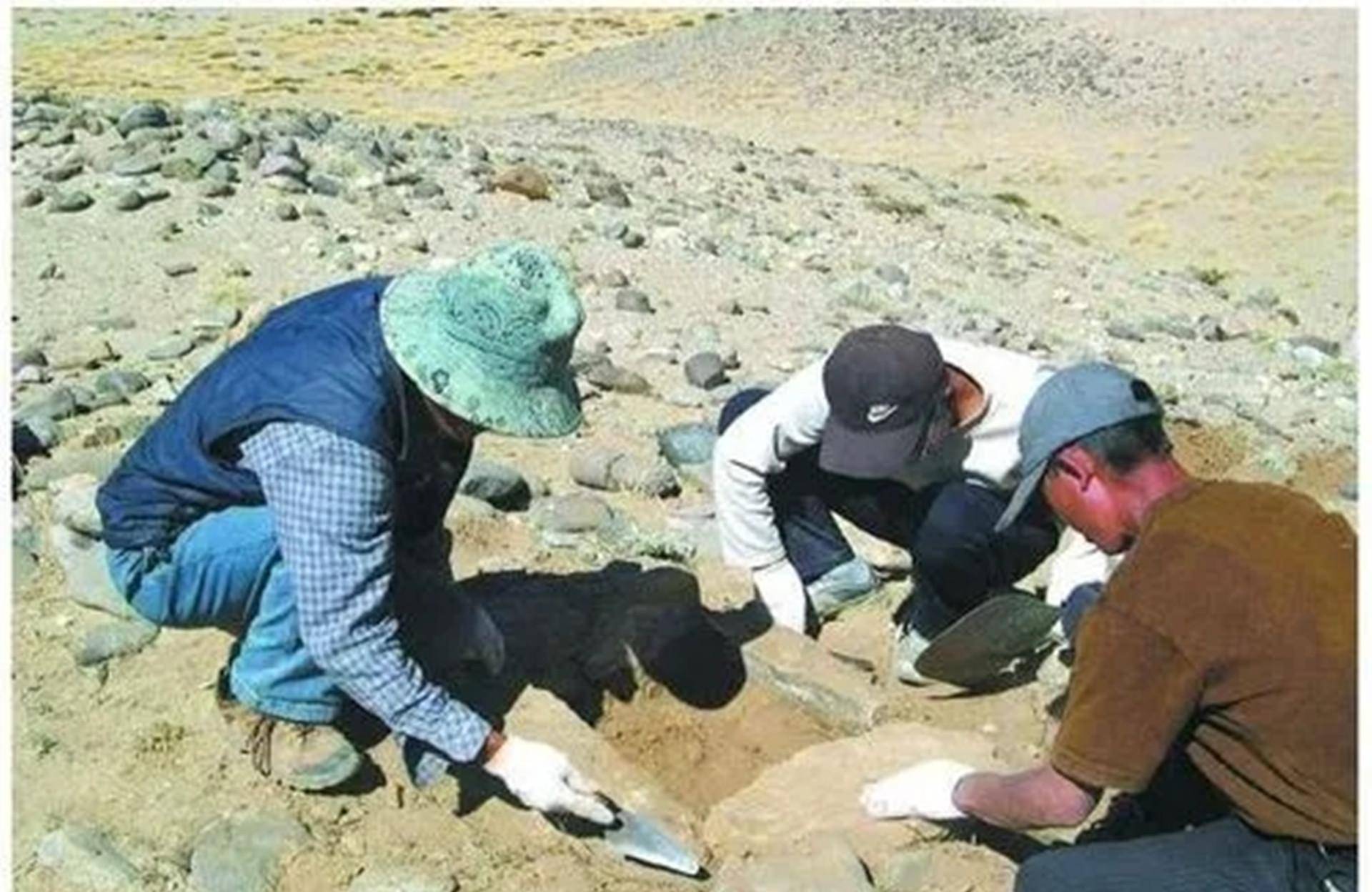 西藏珠峰又因信披问题被罚!董秘胡晗东年内至少三次被点名警示