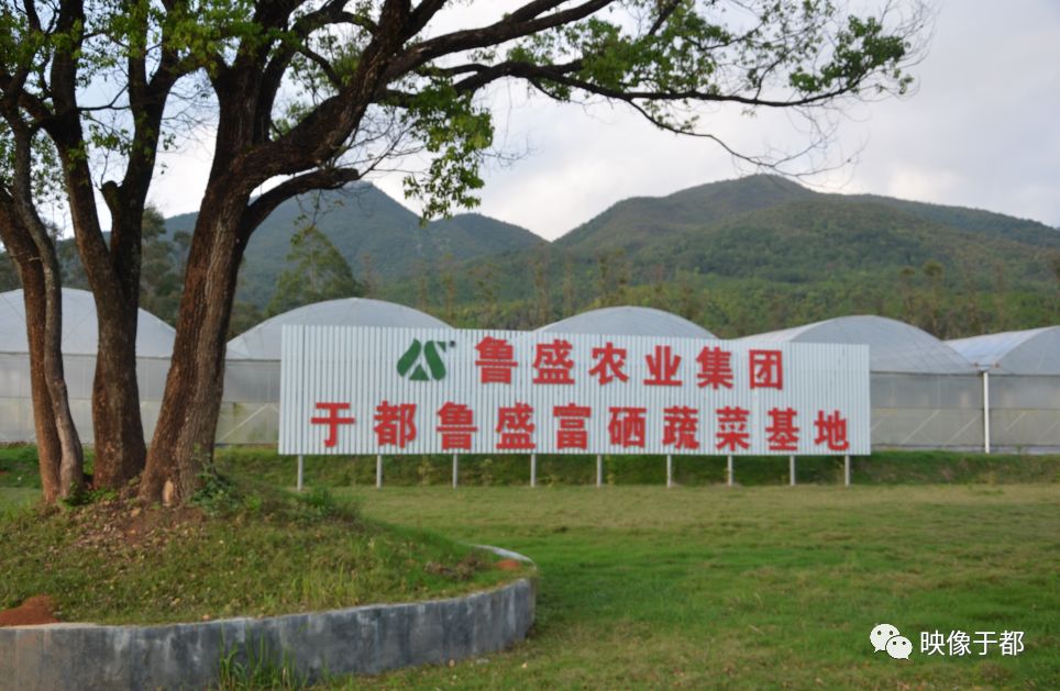 江西于都: 特色产业助力乡村振兴