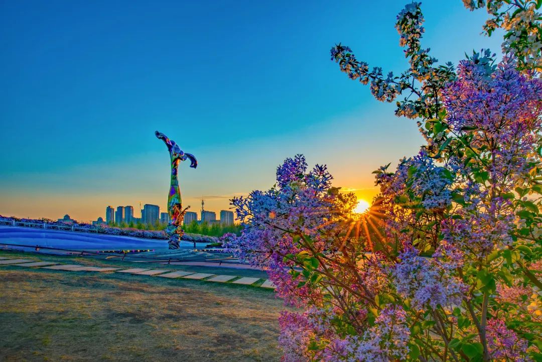 哈尔滨:清凉“冰城”避暑游“升温”