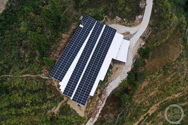 科技赋能智慧养牛助推乡村振兴向“新”提“质”