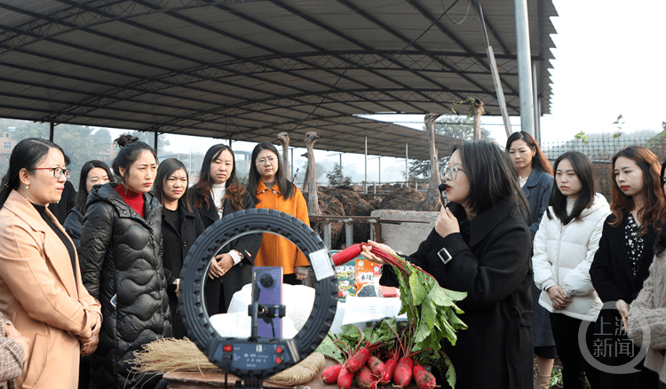 贵州培育农村电商直播带头人