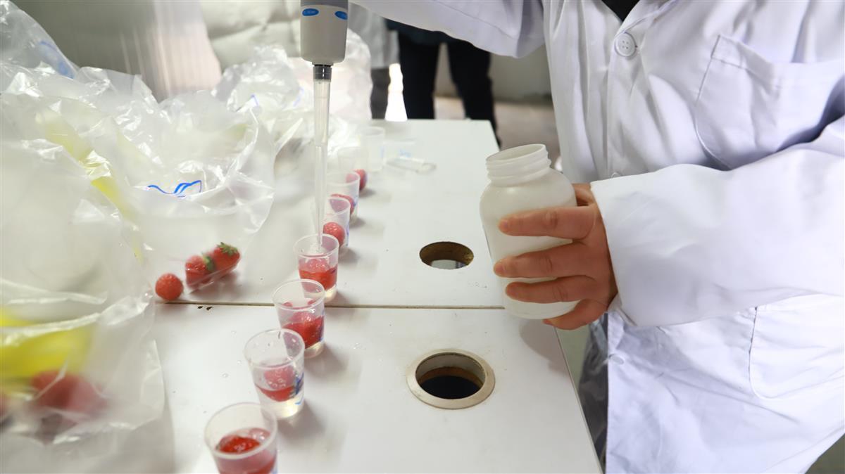 机构调研丨包头项目逐步放量,这家萤石矿产龙头上半年营收净利大涨,需求旺季来临,机构看好萤石价格走高