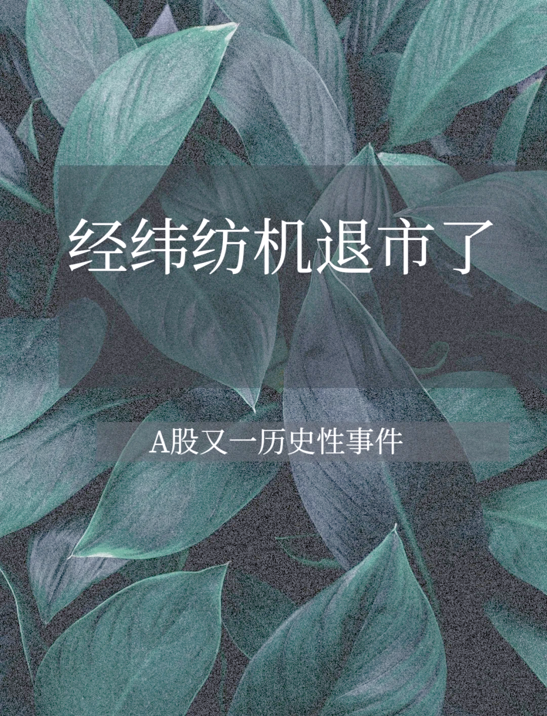 ST华微陷退市危机！ 14.9亿资金占用点燃监管风暴，股价跌停背后藏玄机