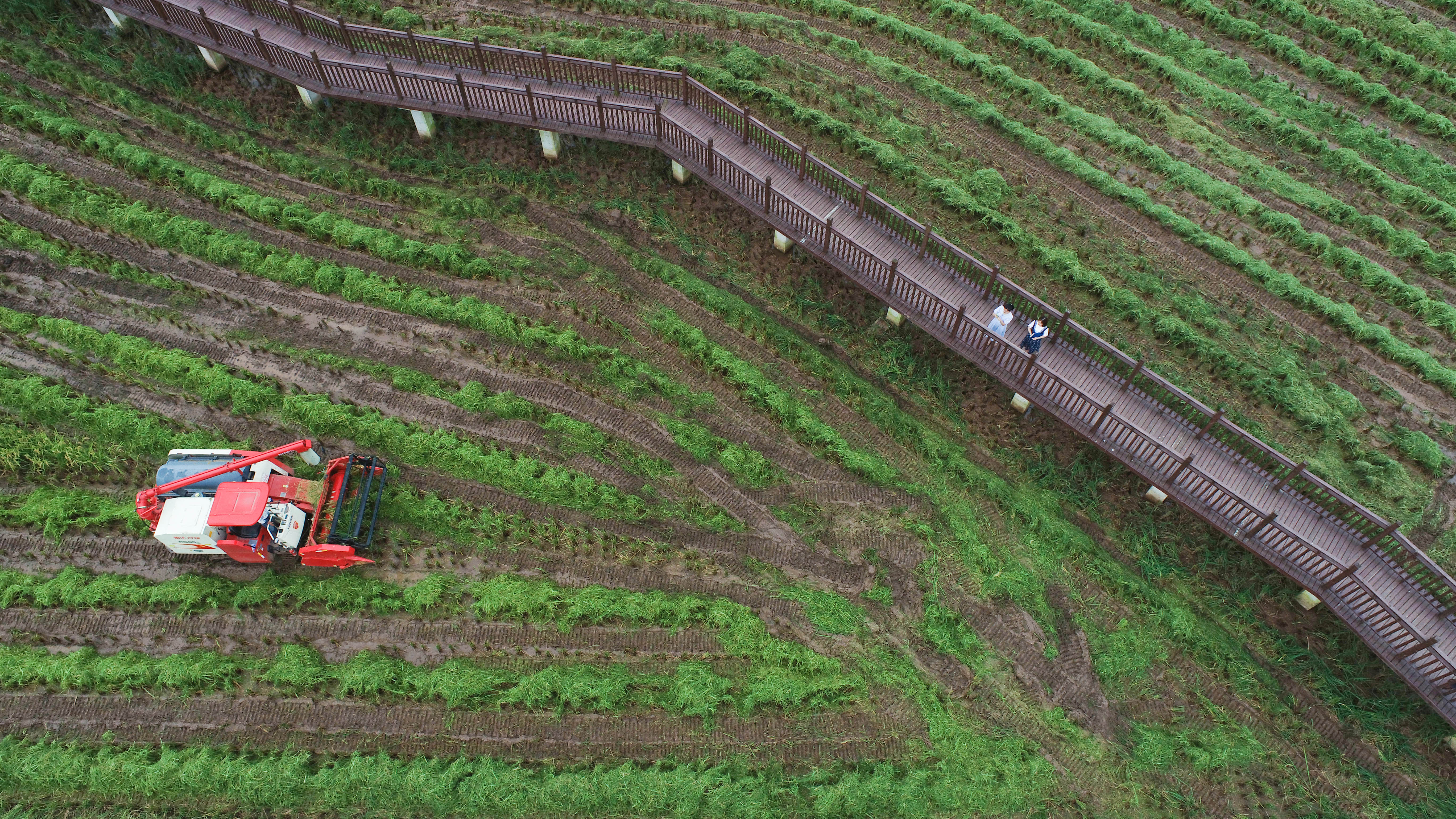 布局“春播”行情正当时，摩根90天持有期债券型基金正在发行中