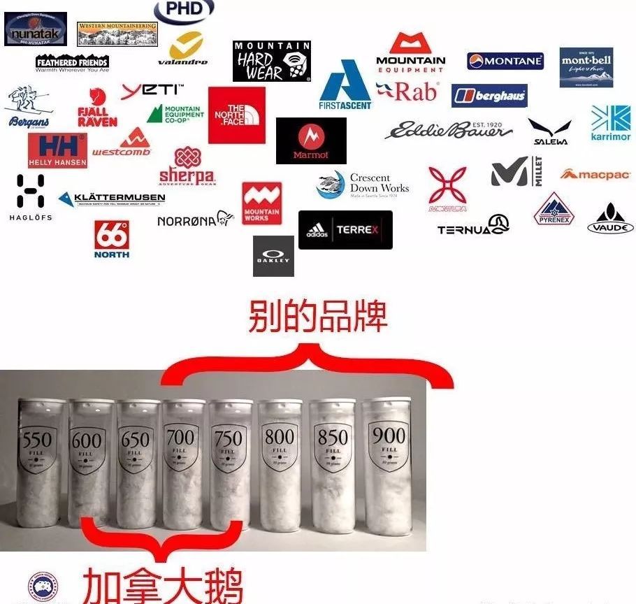 波司登将收购加拿大鹅？公司紧急回应