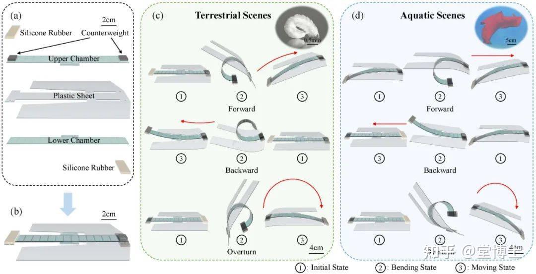 软体机器人挺进4070米深海，机器人ETF基金（562360）交投活跃，机构：人形机器人将进入迅猛增长阶段