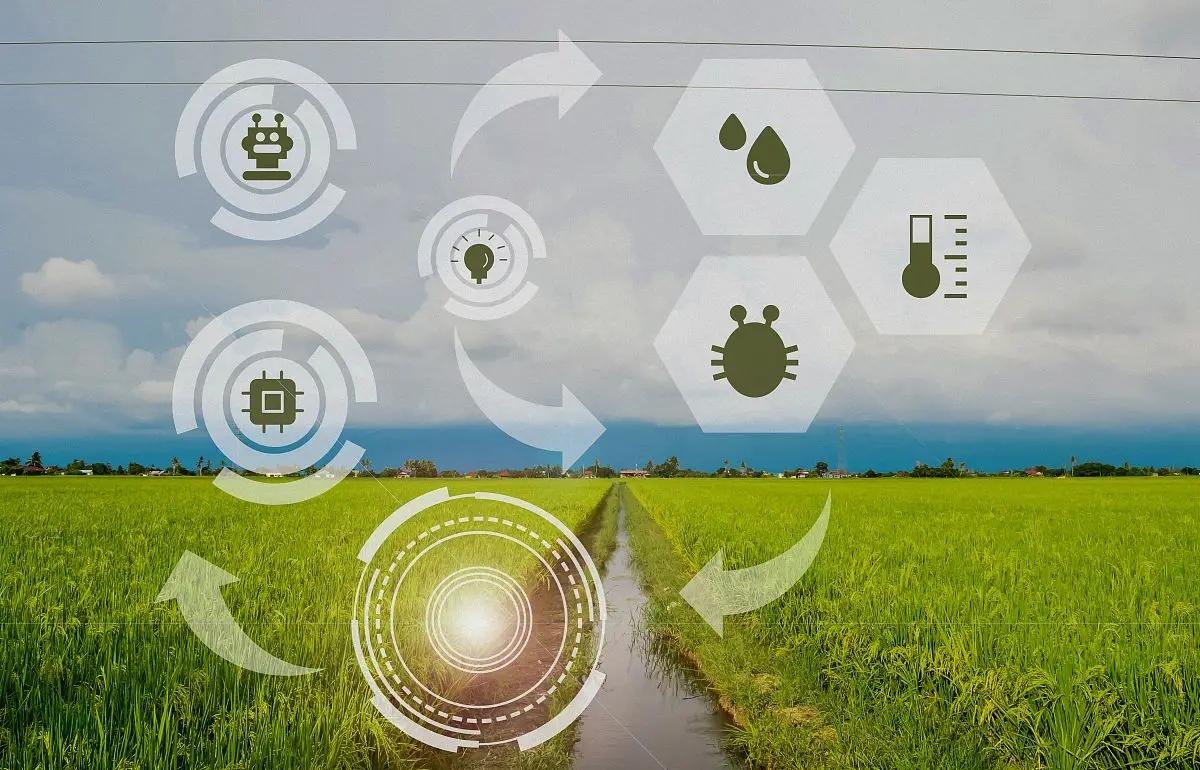 A500持续吸金背后，或是中国核心资产的价值重塑